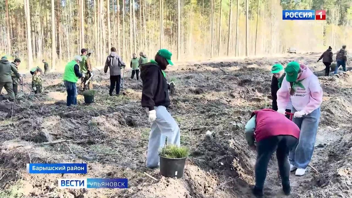 Сохраним лес