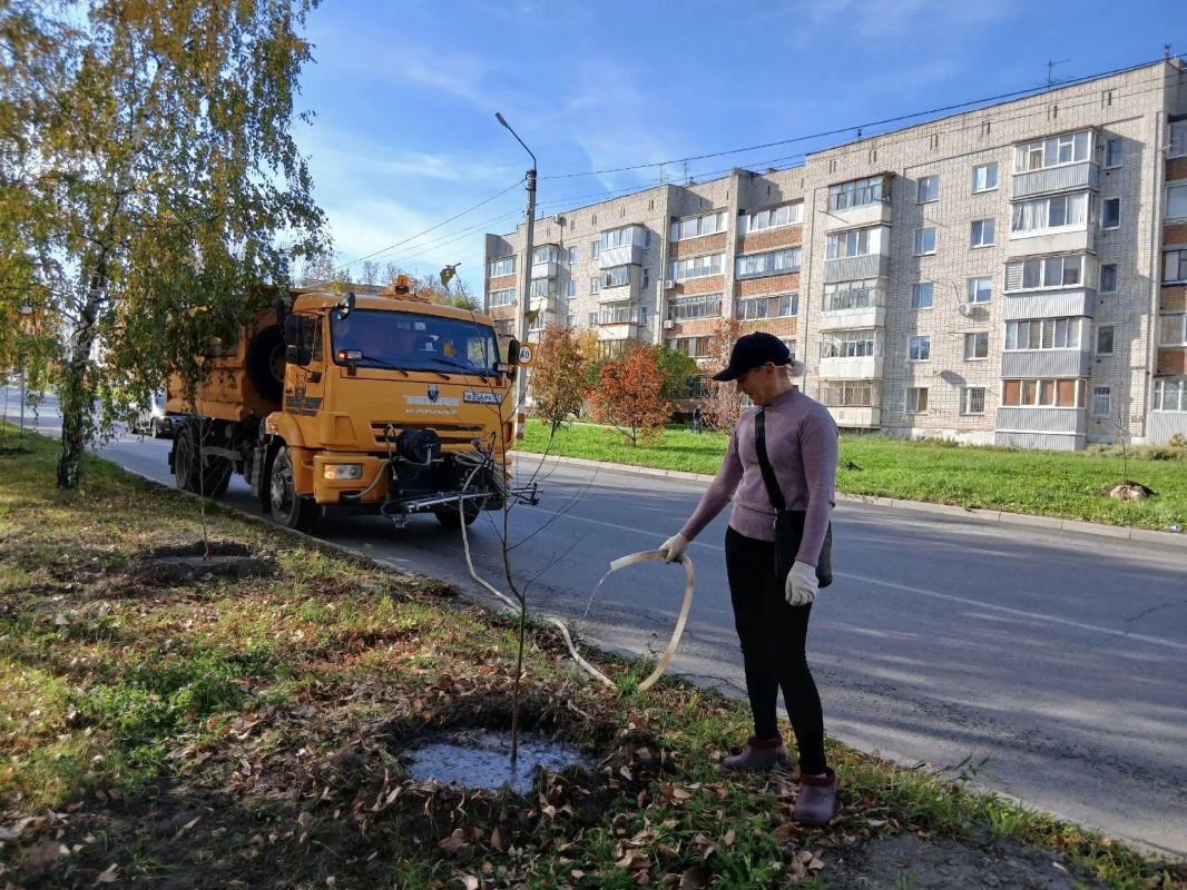 За две недели ульяновские озеленители высадили 99 новых саженцев в Железнодорожном районе За две недели ульяновские озеленители высадили 99 новых саженцев в Железнодорожном районе