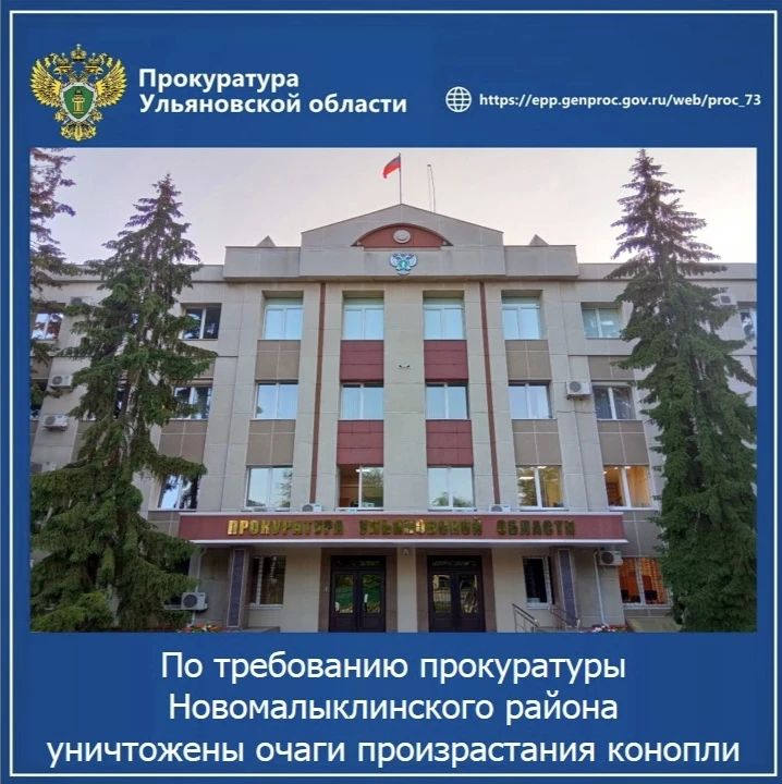 Прокуратура Новомалыклинского района Ульяновской области провела проверку исполнения законодательства о профилактике наркотизации населения