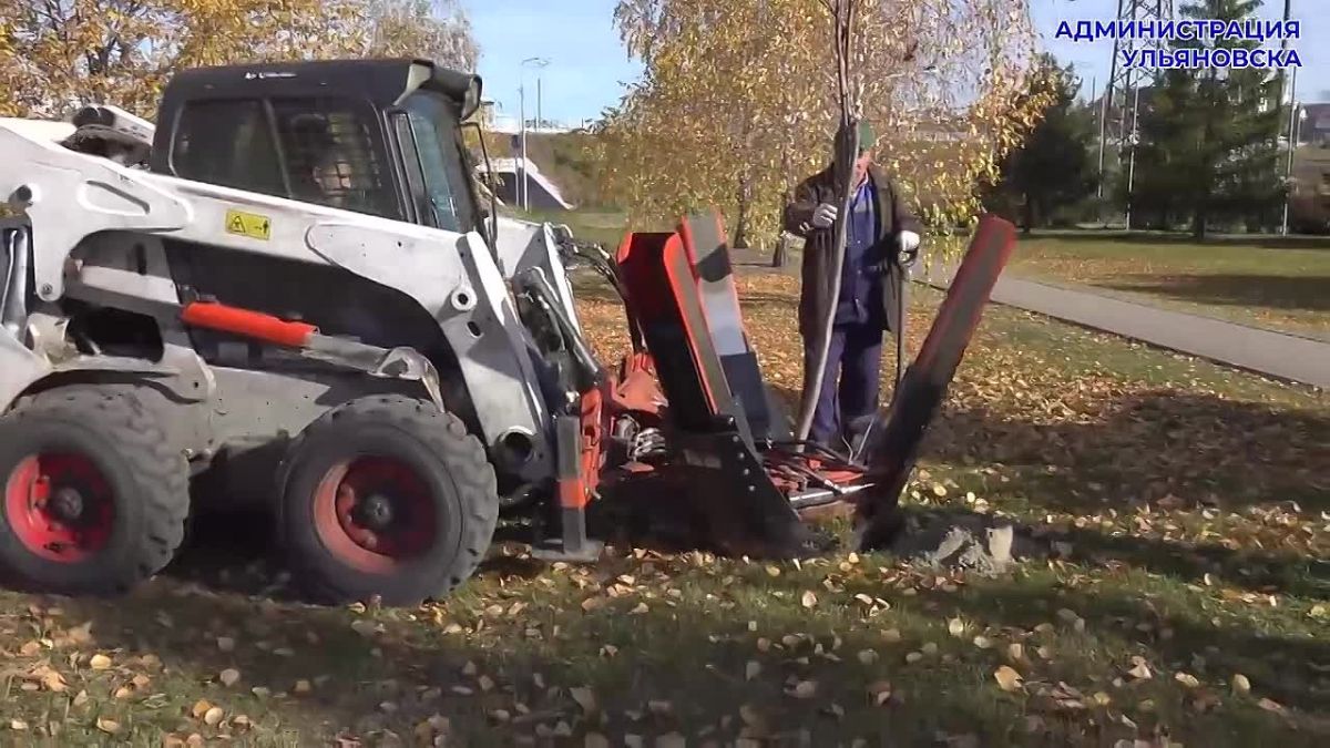 В ульяновском микрорайоне «Университет» пересадили 10 деревьев