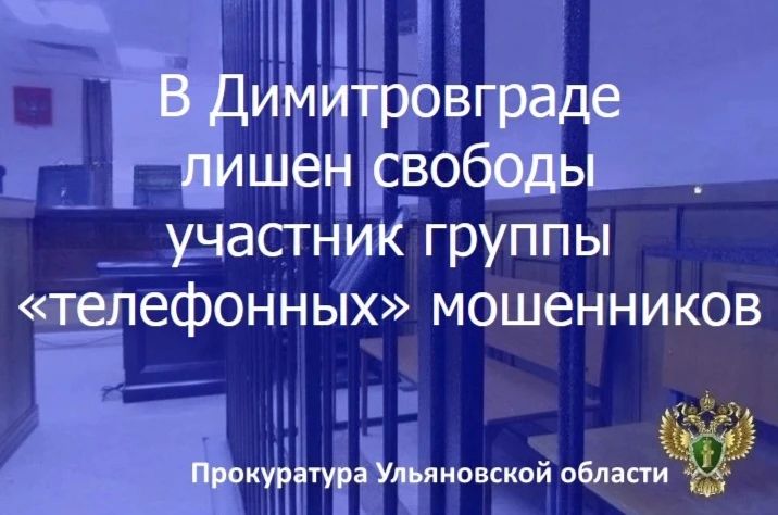 Димитровградский городской суд Ульяновской области вынес приговор по уголовному делу в отношении жителя Республики Татарстан
