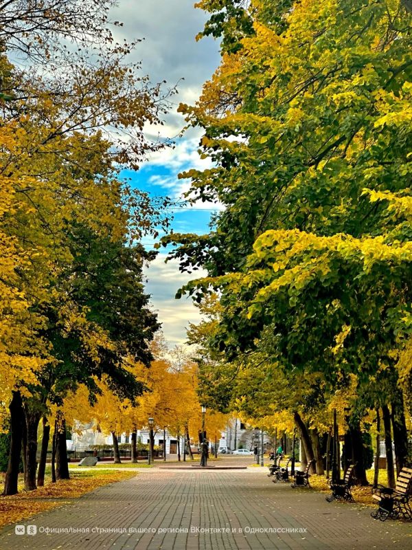 Сквер Новый Венец в Ульяновске
