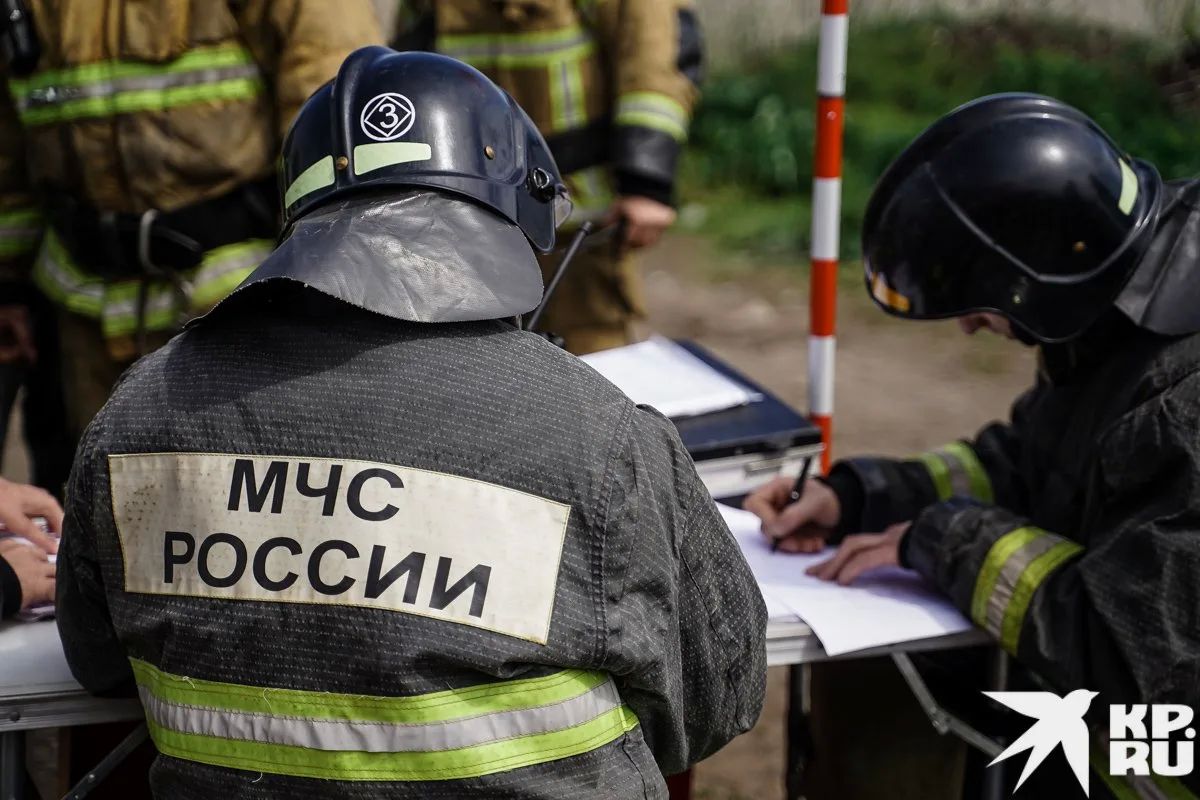 На юге Ульяновской области с 24 по 30 октября 2026 года в лесах сохранится высокая пожарная опасность четвёртого класса