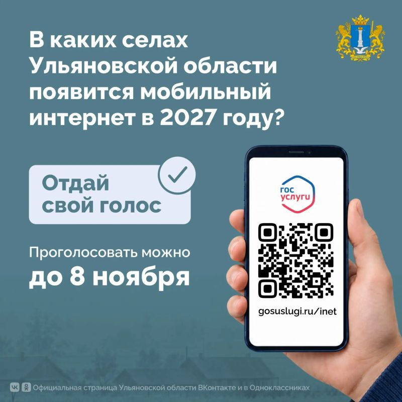 Малая Андреевка Новоспасского района лидирует по активности в голосовании за подключение интернета