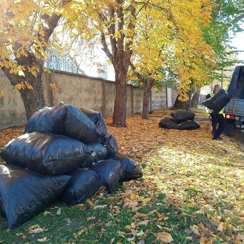 С улиц Ульяновска за два месяца вывезли почти девять тысяч кубометров мусора С улиц Ульяновска за два месяца вывезли почти девять тысяч кубометров мусора