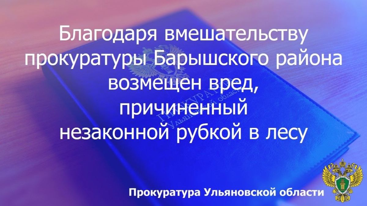 Прокуратура Барышского района Ульяновской области провела проверку исполнения законодательства в сфере лесопользования