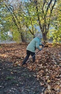 Парки Ульяновска продолжают готовить к зимнему сезону Парки Ульяновска продолжают готовить к зимнему сезону