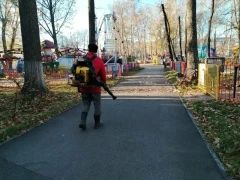 Парки Ульяновска продолжают готовить к зимнему сезону Парки Ульяновска продолжают готовить к зимнему сезону