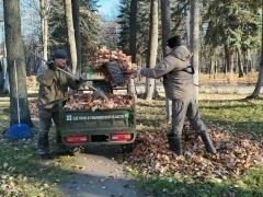 Парки Ульяновска продолжают готовить к зимнему сезону Парки Ульяновска продолжают готовить к зимнему сезону