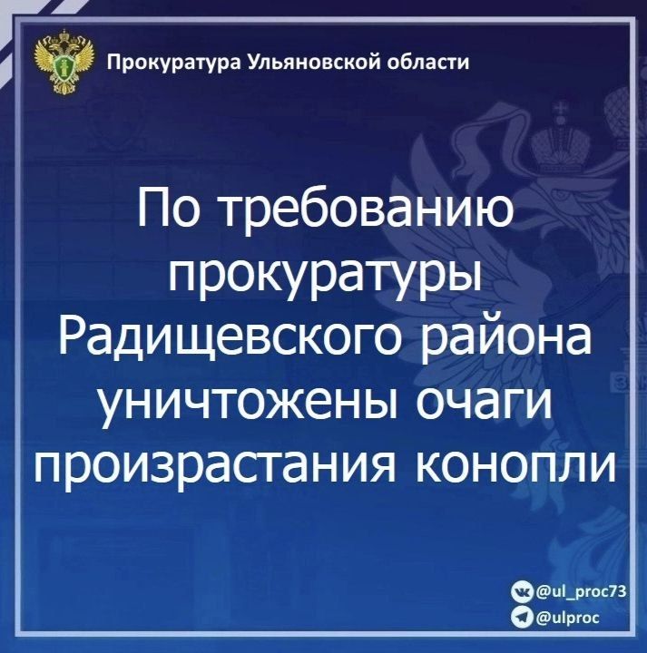 Димитровградский городской суд Ульяновской области вынес приговор по уголовному делу в отношении жителя соседнего региона Димитровградский городской суд Ульяновской области вынес приговор по уголовному делу в отношении жителя соседнего региона
