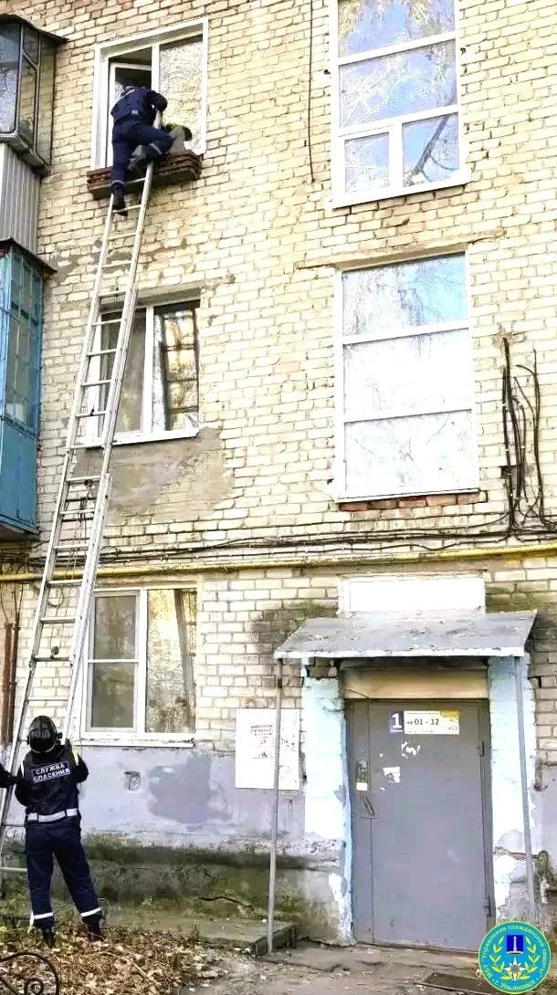 Ульяновские спасатели попали в квартиру к малышу на Стасова через окно
