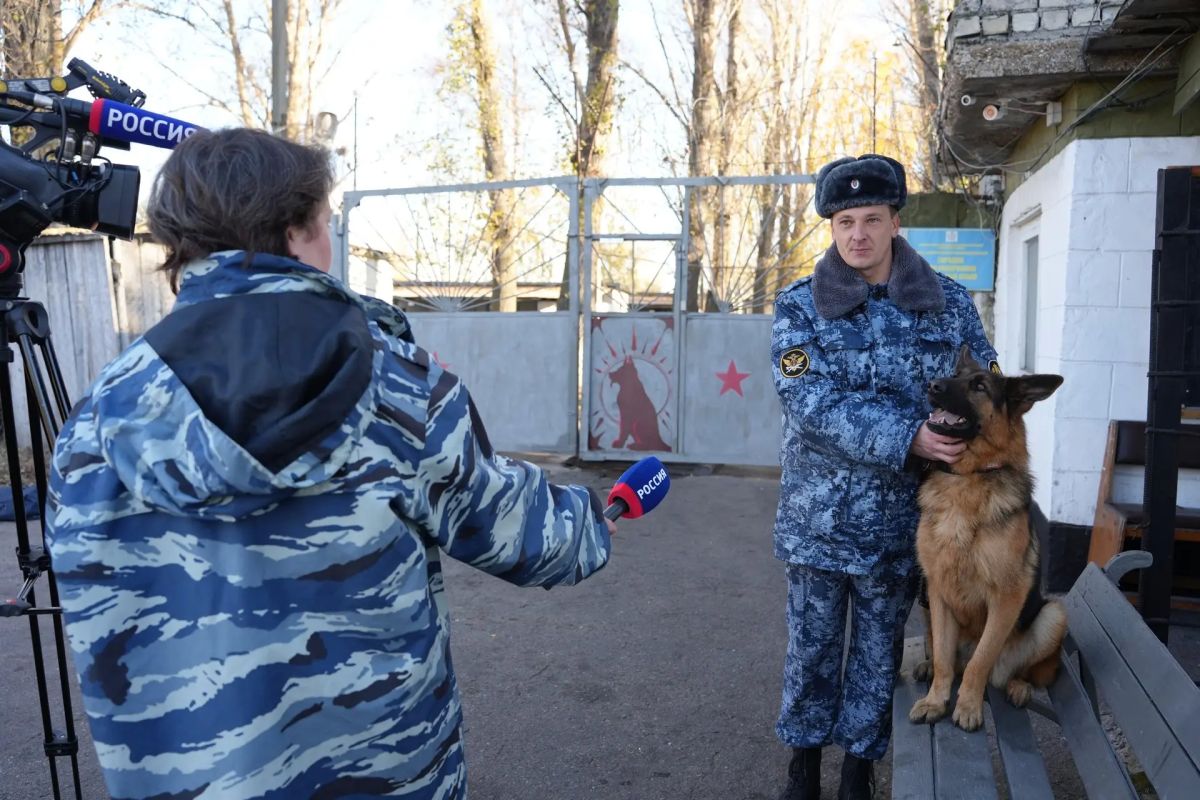 Пушистые сотрудники УФСИН. кинологическом городке ИК-9 УФСИН России по Ульяновской области несут службу настоящие четвероногие профессионалы Пушистые сотрудники УФСИН. кинологическом городке ИК-9 УФСИН России по Ульяновской области несут службу настоящие четвероногие профессионалы