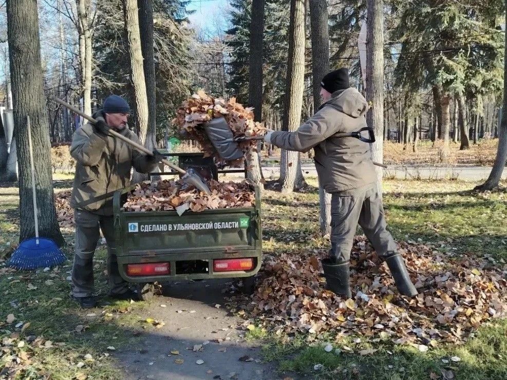 В преддверии Дня народного единства в Ульяновске прошла санитарная пятница В преддверии Дня народного единства в Ульяновске прошла санитарная пятница
