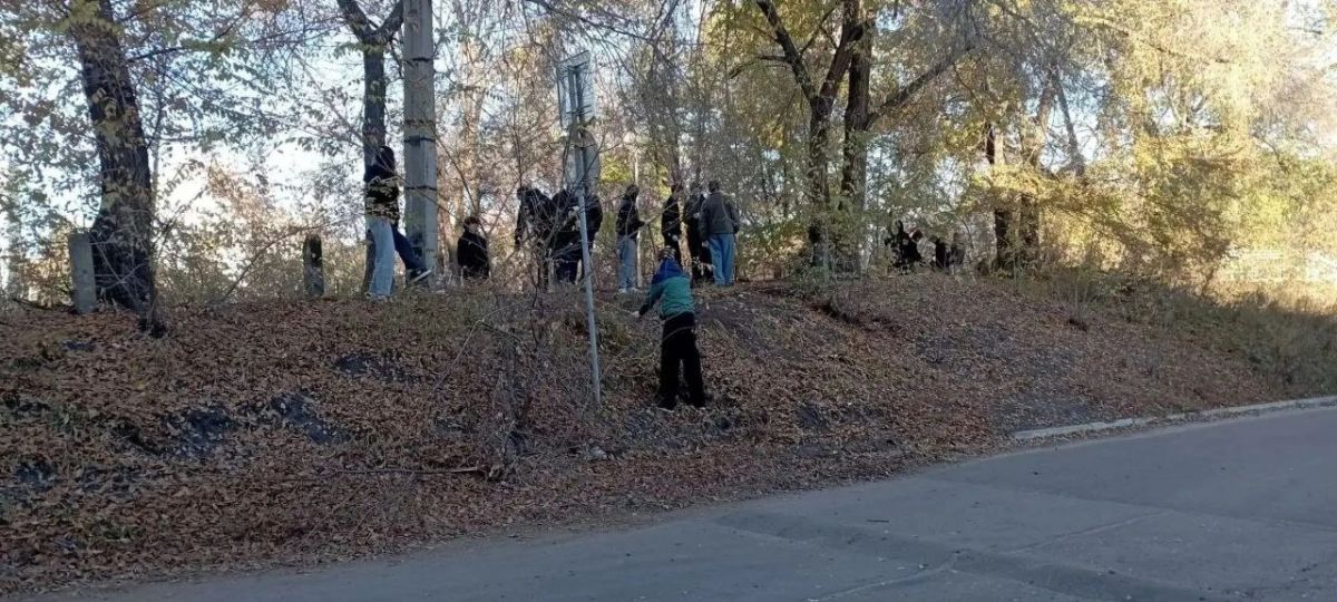 В преддверии Дня народного единства в Ульяновске прошла санитарная пятница В преддверии Дня народного единства в Ульяновске прошла санитарная пятница